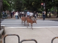 Nara